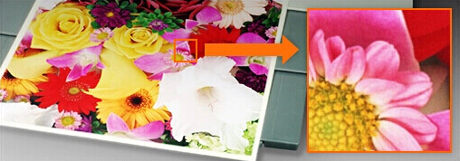 柯尼卡美能達C221原裝碳粉輸出效果 柯尼卡美能達C221原裝碳粉輸出效果