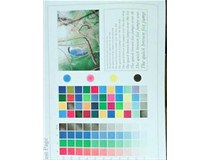 東莞客戶 柯尼卡美能達復印機C210出P9|P21故障代碼處理