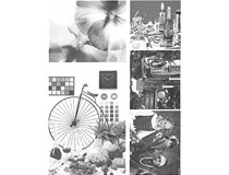 柯尼卡美能達復印機bizhub306的600dpi分辨率的輸出質量